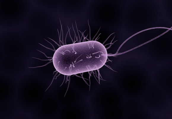 Bacteria 1832824 640